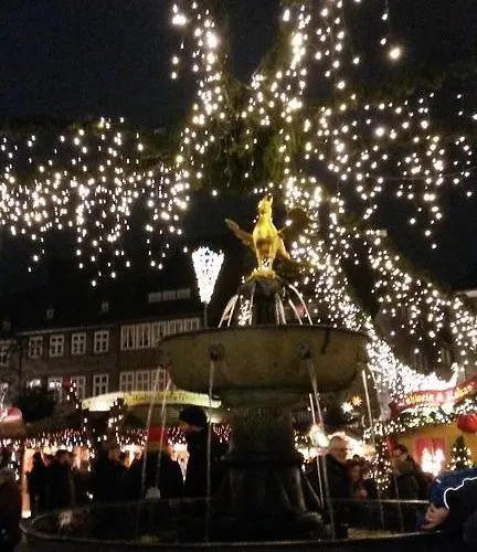 Haus Kollwitzweg - Lejlighed Goslar